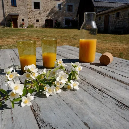 Le Petit Chateau Du Villard Bed & Breakfast Le Malzieu-Forain